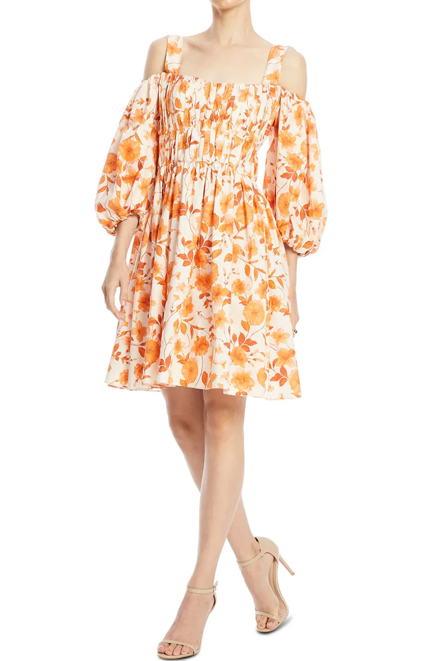 Aurelia Floral Mini Dress