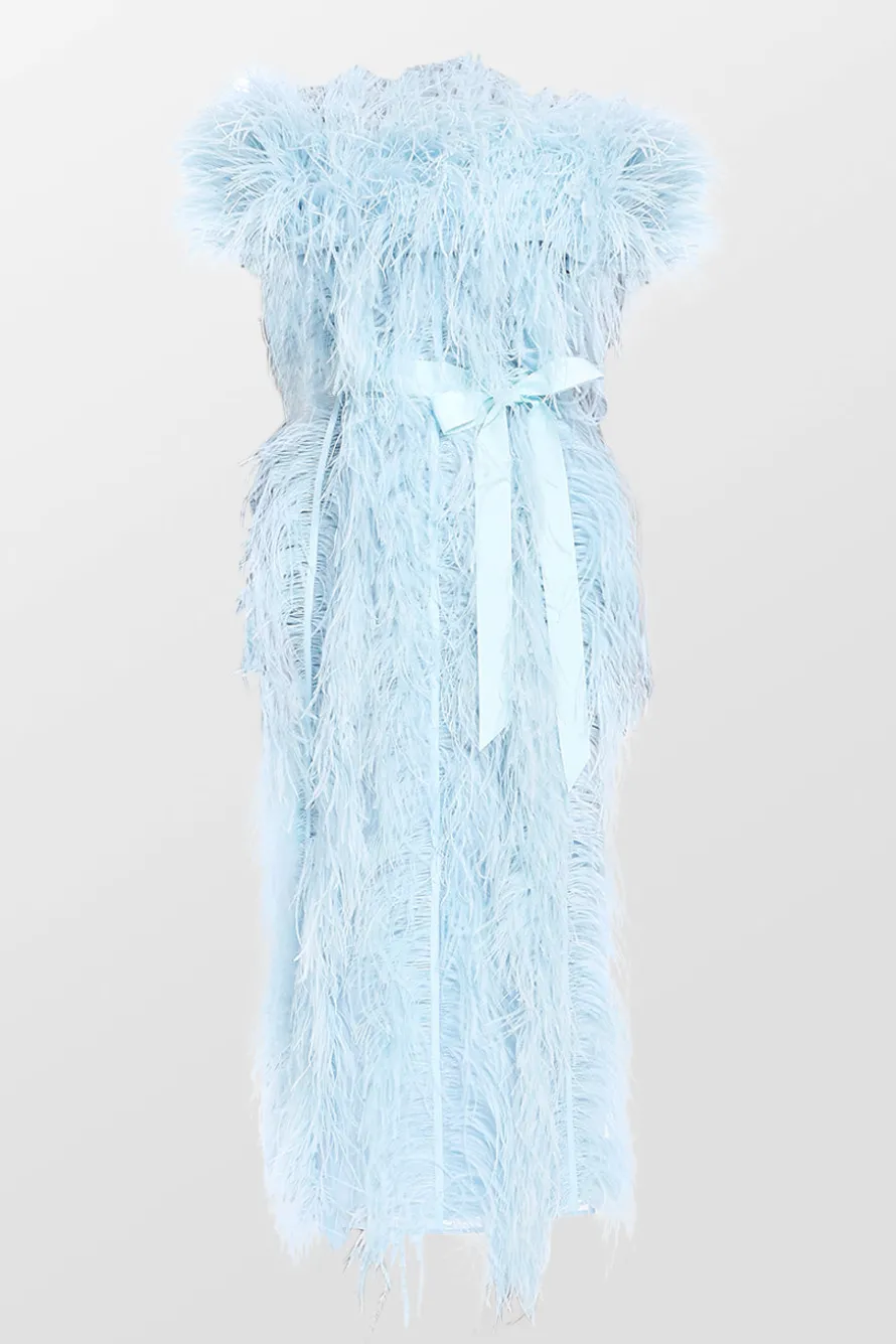 Off Shoulder Feather Embroidered Dress