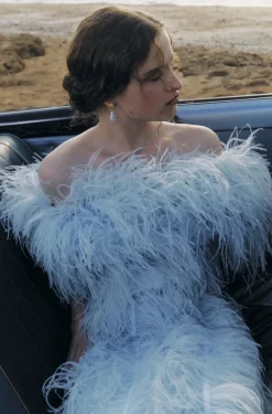 Off Shoulder Feather Embroidered Dress